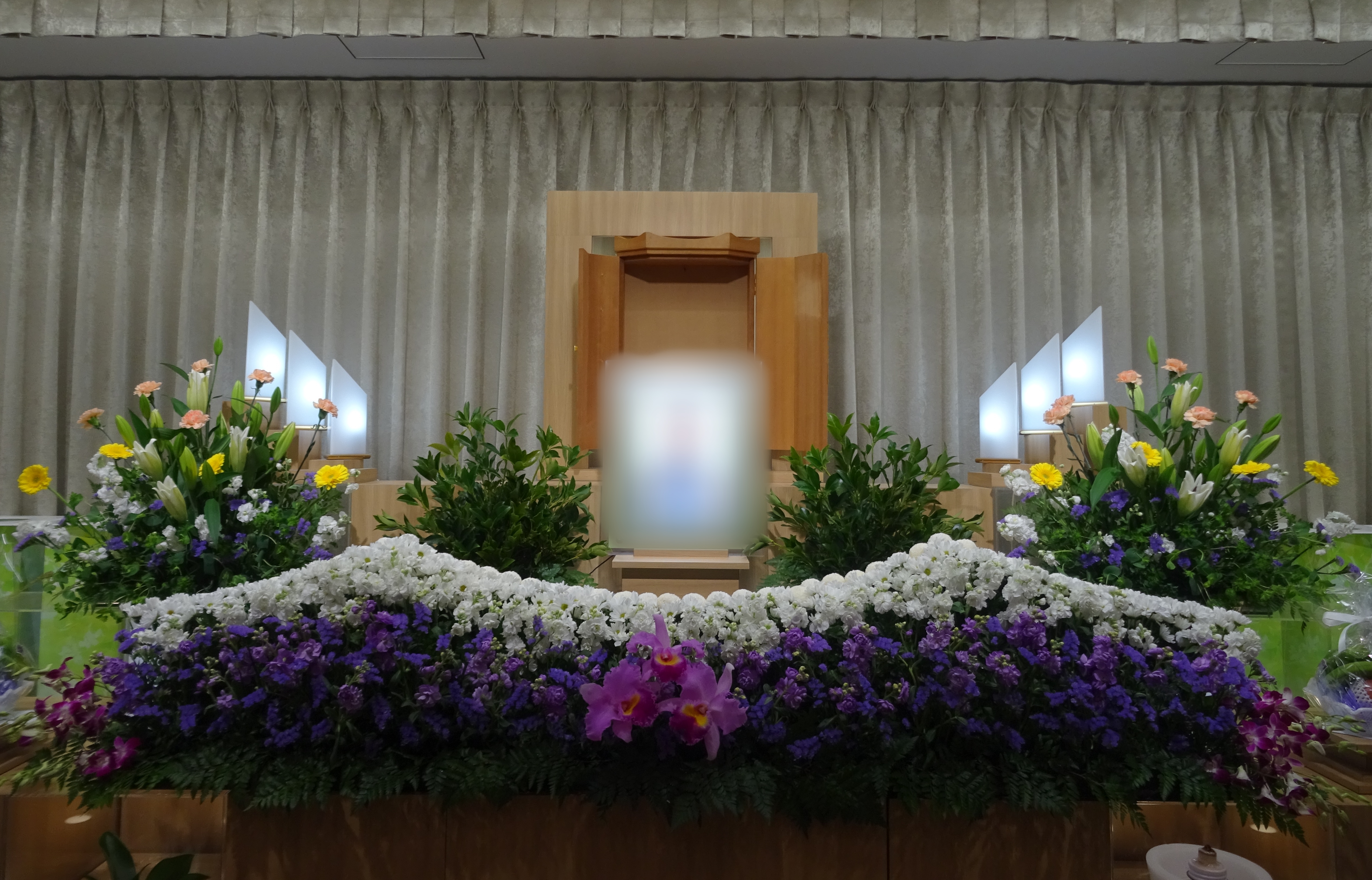 【福岡県】_メモリードホール桜並木通り