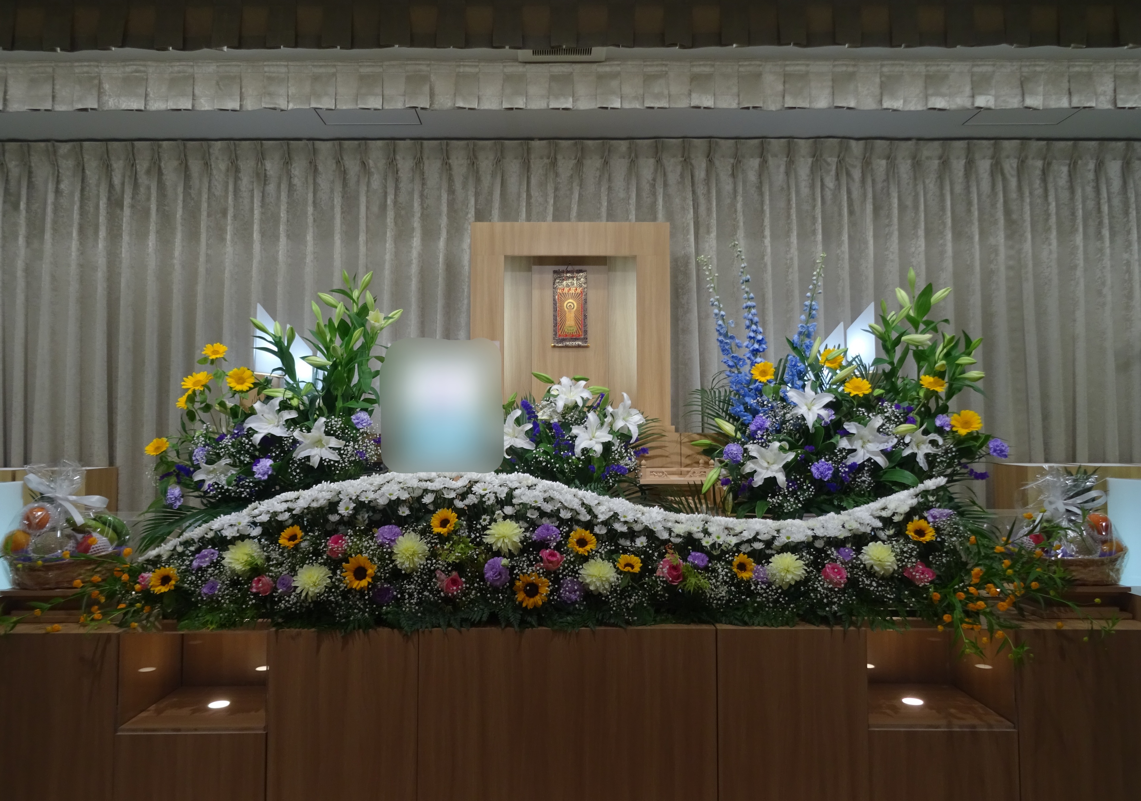 【福岡】_メモリードホール桜並木通り